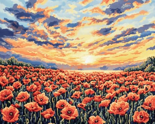 JWPSHIJIE 5D Diamant Malerei Kits für Erwachsene,-Rotes Blumenfeld 40 * 50cm von JWPSHIJIE