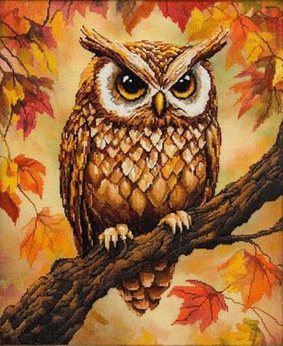 JWPSHIJIE 5D Diamant Painting Kit,-Eule auf einem Ast 40 * 50cm JWPSHIJIE 5D Diamant Painting Kit,-Eule auf einem Ast 40 * 50cm von JWPSHIJIE