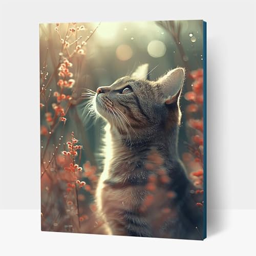 5D Diamond Painting Erwachsene, Diamant Malen Nach Zahlen Blume mit Diamond Painting Zubehör Set Katze, Vollbohrer leinwand Malen, Diamant Cross Stitch Bastelset Erwachsene 60 x 80 cm JXL1-13536 5D Diamond Painting Erwachsene, Diamant Malen Nach Zahlen Blume mit Diamond Painting Zubehör Set Katze, Vollbohrer leinwand Malen, Diamant Cross Stitch Bastelset Erwachsene 60 x 80 cm JXL1-13536 von JXLEULIN