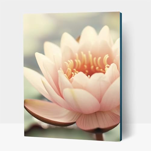 5D Diamond Painting Erwachsene, Diamant Malen Nach Zahlen Blume mit Diamond Painting Zubehör Set Pflanzen, Vollbohrer leinwand Malen, Diamant Cross Stitch Bastelset Erwachsene 35x50cm JXL1-23193 von JXLEULIN