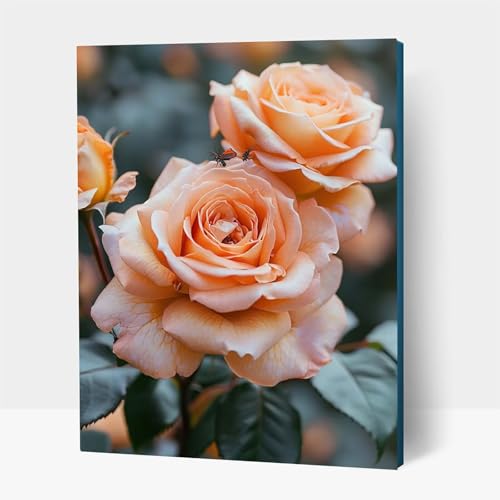 5D Diamond Painting Erwachsene, Diamant Malen Nach Zahlen Blume mit Diamond Painting Zubehör Set Pflanzen, Vollbohrer leinwand Malen, Diamant Cross Stitch Bastelset Erwachsene 60x80cm JXL1-13906 von JXLEULIN