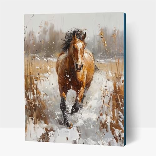 5D Diamond Painting Erwachsene, Diamant Malen Nach Zahlen Horse mit Diamond Painting Zubehör Set Tier, Vollbohrer leinwand Malen, Diamant Cross Stitch Bastelset Erwachsene 30 x 40 cm JXL1-14722 5D Diamond Painting Erwachsene, Diamant Malen Nach Zahlen Horse mit Diamond Painting Zubehör Set Tier, Vollbohrer leinwand Malen, Diamant Cross Stitch Bastelset Erwachsene 30 x 40 cm JXL1-14722 von JXLEULIN