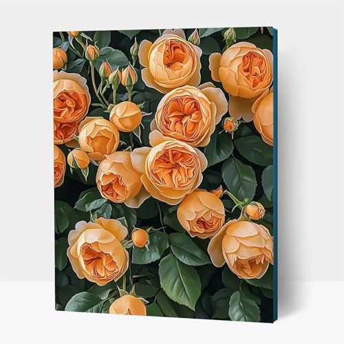5D Diamond Painting Erwachsene, Diamant Malen Nach Zahlen Pflanzen mit Diamond Painting Zubehör Set Blume, Vollbohrer leinwand Malen, Diamant Cross Stitch Bastelset Erwachsene 60x80 cm JXL1-15246 5D Diamond Painting Erwachsene, Diamant Malen Nach Zahlen Pflanzen mit Diamond Painting Zubehör Set Blume, Vollbohrer leinwand Malen, Diamant Cross Stitch Bastelset Erwachsene 60x80 cm JXL1-15246 von JXLEULIN