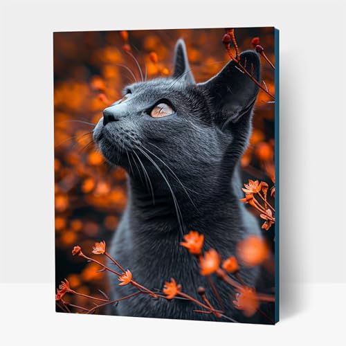 5D Diamond Painting Erwachsene, Diamant Malen Nach Zahlen Tier mit Diamond Painting Zubehör Set Katze, Vollbohrer leinwand Malen, Diamant Cross Stitch Bastelset Erwachsene 35 x 50 cm JXL1-14883 5D Diamond Painting Erwachsene, Diamant Malen Nach Zahlen Tier mit Diamond Painting Zubehör Set Katze, Vollbohrer leinwand Malen, Diamant Cross Stitch Bastelset Erwachsene 35 x 50 cm JXL1-14883 von JXLEULIN