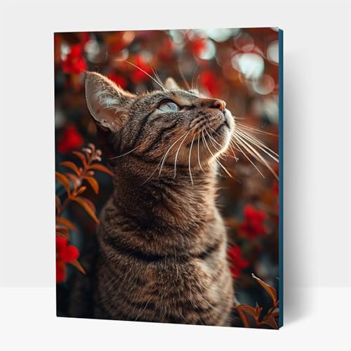 5D Diamond Painting Erwachsene, Diamant Malen Nach Zahlen Tier mit Diamond Painting Zubehör Set Katze, Vollbohrer leinwand Malen, Diamant Cross Stitch Bastelset Erwachsene 70 x 95 cm JXL1-13897 5D Diamond Painting Erwachsene, Diamant Malen Nach Zahlen Tier mit Diamond Painting Zubehör Set Katze, Vollbohrer leinwand Malen, Diamant Cross Stitch Bastelset Erwachsene 70 x 95 cm JXL1-13897 von JXLEULIN