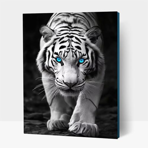 5D Diamond Painting Erwachsene, Diamant Malen Nach Zahlen Weißer Tiger mit Diamond Painting Zubehör Set Tier, Vollbohrer leinwand Malen, Diamant Cross Stitch Bastelset Erwachsene 90x120cm JXL1-22849 5D Diamond Painting Erwachsene, Diamant Malen Nach Zahlen Weißer Tiger mit Diamond Painting Zubehör Set Tier, Vollbohrer leinwand Malen, Diamant Cross Stitch Bastelset Erwachsene 90x120cm JXL1-22849 von JXLEULIN