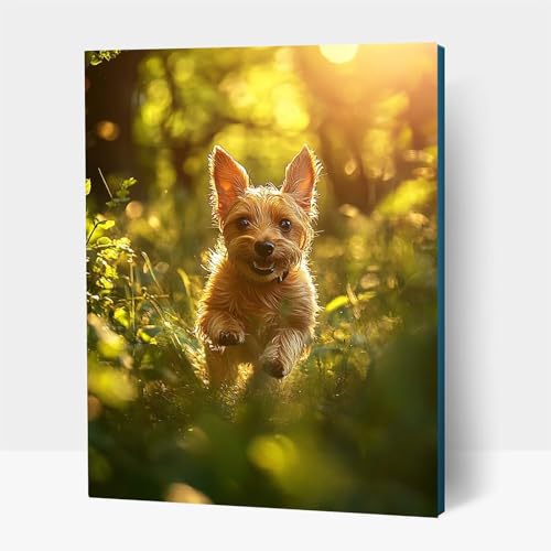Diamond Painting Erwachsene, Diamant Malen Nach Zahlen Tier mit Diamond Painting Zubehör Set Hund, Vollbohrer leinwand Malen, Diamant Cross Stitch Bastelset Erwachsene, Zimmer Deko 40x55cm JXL1-13744 von JXLEULIN