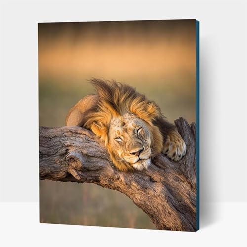 Diamond Painting Erwachsene, Diamant Malen Nach Zahlen Tier mit Diamond Painting Zubehör Set Löwe, Vollbohrer leinwand Malen, Diamant Cross Stitch Bastelset Erwachsene, Zimmer Deko 35x50cm JXL1-21453 von JXLEULIN