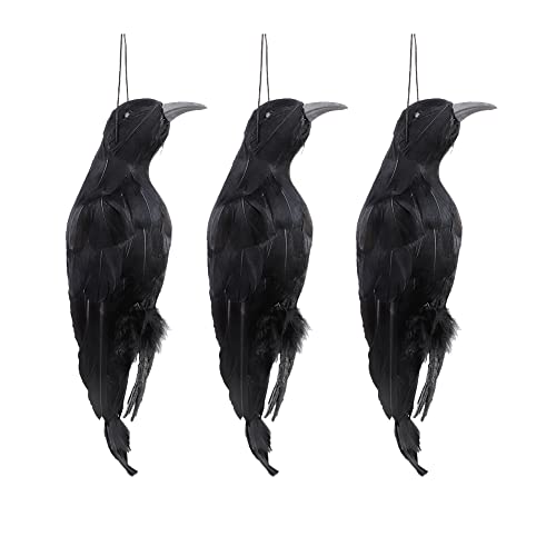 JYCRA 3 Stück hängende künstliche Krähe, 32,6 cm, tote Krähen Lockvogel, Halloween-Krähen schwarz gefiedert, lebensgroß, schwarz, gefiederte Krähe zum Erschrecken von Krähen Halloween-Dekorationen, von JYCRA