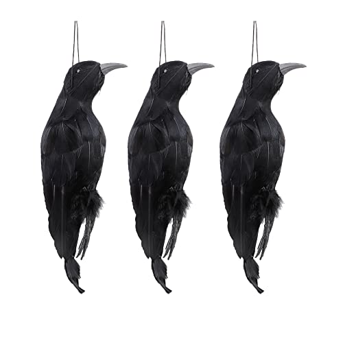 JYCRA 3 Stück hängende künstliche Krähe, 32,6 cm, tote Krähen Lockvogel, Halloween-Krähen schwarz gefiedert, lebensgroß, schwarz, gefiederte Krähe zum Erschrecken von Krähen Halloween-Dekorationen, JYCRA 3 Stück hängende künstliche Krähe, 32,6 cm, tote Krähen Lockvogel, Halloween-Krähen schwarz gefiedert, lebensgroß, schwarz, gefiederte Krähe zum Erschrecken von Krähen Halloween-Dekorationen, von JYCRA