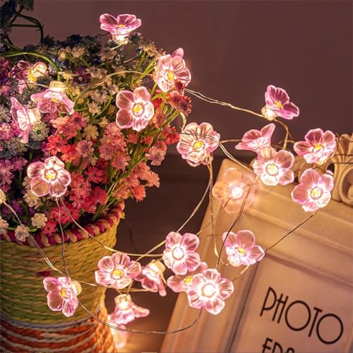 JZK 3m Warmweiß LED Rosa Blumen solarbetrieben Lichterkette Kupferdraht Wasserdichte dekorative solar leuchte leuchte Außen für Weihnachten Party Hochzeits dekoration Schlafzimmer ornament JZK 3m Warmweiß LED Rosa Blumen solarbetrieben Lichterkette Kupferdraht Wasserdichte dekorative solar leuchte leuchte Außen für Weihnachten Party Hochzeits dekoration Schlafzimmer ornament von JZK