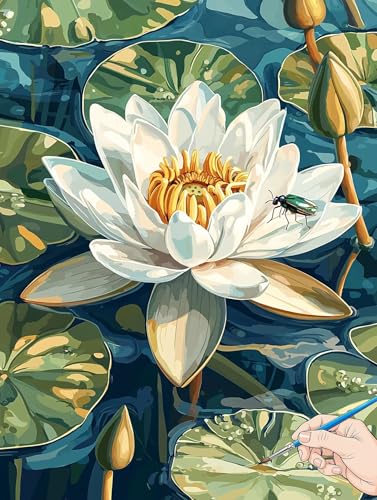 Malen Nach Zahlen Erwachsene Blumen Malen Nach Zahlen Pflanzen DIY Set Ewachsene Paint by Numbers Adult mit Pinseln und Acrylfarbe Handgemalt Ölgemälde Kit für Geschenke für Frauen Deko 50x70cm C-35 Malen Nach Zahlen Erwachsene Blumen Malen Nach Zahlen Pflanzen DIY Set Ewachsene Paint by Numbers Adult mit Pinseln und Acrylfarbe Handgemalt Ölgemälde Kit für Geschenke für Frauen Deko 50x70cm C-35 von Jaeixouu