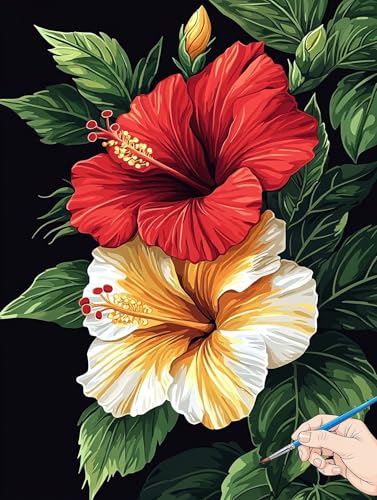 Malen Nach Zahlen Erwachsene Blumen Malen Nach Zahlen Pflanzen DIY Set Ewachsene Paint by Numbers Adult mit Pinseln und Acrylfarbe Handgemalt Ölgemälde Kit für Geschenke für Frauen Deko 70x90cm B-64 von Jaeixouu