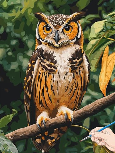 Malen Nach Zahlen Erwachsene Eule Malen Nach Zahlen Kinder ab 10 Tiere Set Basteln Erwachsene Paint by Numbers Adult Acrylfarbe Ölgemälde Bastelset Herbstdeko Geschenke Deko Wohnzimmer 60x80cm E-74 Malen Nach Zahlen Erwachsene Eule Malen Nach Zahlen Kinder ab 10 Tiere Set Basteln Erwachsene Paint by Numbers Adult Acrylfarbe Ölgemälde Bastelset Herbstdeko Geschenke Deko Wohnzimmer 60x80cm E-74 von Jaeixouu