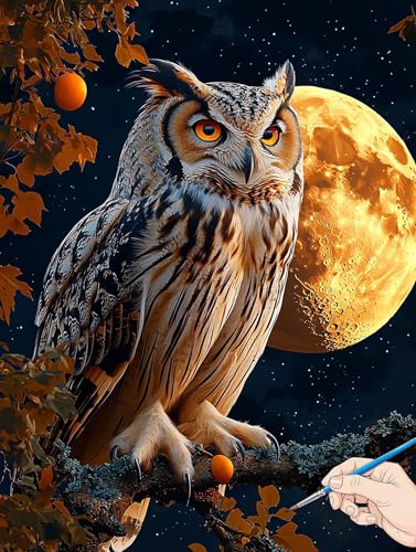 Malen Nach Zahlen Erwachsene Eule Malen Nach Zahlen Mond DIY Set Ewachsene Paint by Numbers Adult mit Pinseln und Acrylfarbe Handgemalt Ölgemälde Kit Geschenke für Frauen Halloween Deko 30x40cm F-80 Malen Nach Zahlen Erwachsene Eule Malen Nach Zahlen Mond DIY Set Ewachsene Paint by Numbers Adult mit Pinseln und Acrylfarbe Handgemalt Ölgemälde Kit Geschenke für Frauen Halloween Deko 30x40cm F-80 von Jaeixouu