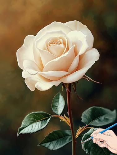 Malen Nach Zahlen Erwachsene Rose Malen Nach Zahlen Kinder ab 10 Blumen Set Basteln Erwachsene DIY Paint by Numbers Adult Acrylfarbe Ölgemälde Bastelset für Geschenke Deko Wohnzimmer 40x50cm I-34 Malen Nach Zahlen Erwachsene Rose Malen Nach Zahlen Kinder ab 10 Blumen Set Basteln Erwachsene DIY Paint by Numbers Adult Acrylfarbe Ölgemälde Bastelset für Geschenke Deko Wohnzimmer 40x50cm I-34 von Jaeixouu