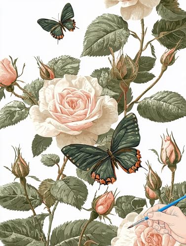 Malen Nach Zahlen Erwachsene Rose Malen Nach Zahlen Kinder ab 10 Schmetterling Set Basteln Erwachsene DIY Paint by Numbers Adult Acrylfarbe Ölgemälde Bastelset Geschenke Deko Wohnzimmer 30x40cm H-63 von Jaeixouu