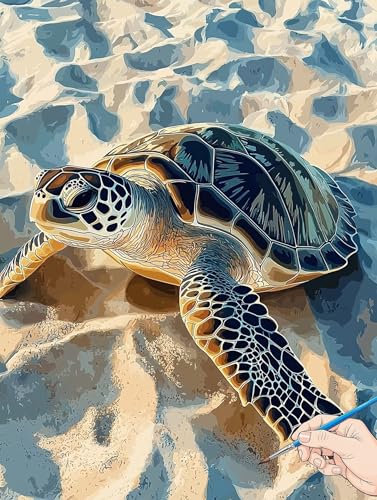 Malen Nach Zahlen Erwachsene Schildkröte Malen Nach Zahlen Kinder ab 10 Tiere Set Basteln Erwachsene DIY Paint by Numbers Adult Acrylfarbe Ölgemälde Bastelset Geschenke Deko Wohnzimmer 70x90cm H-75 von Jaeixouu