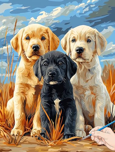 Malen Nach Zahlen Erwachsene Tier Malen Nach Zahlen Hund DIY Set Ewachsene Paint by Numbers Adult mit Pinseln und Acrylfarbe Handgemalt Ölgemälde Kit Geschenke für Frauen Halloween Deko 50x70cm J-78 Malen Nach Zahlen Erwachsene Tier Malen Nach Zahlen Hund DIY Set Ewachsene Paint by Numbers Adult mit Pinseln und Acrylfarbe Handgemalt Ölgemälde Kit Geschenke für Frauen Halloween Deko 50x70cm J-78 von Jaeixouu