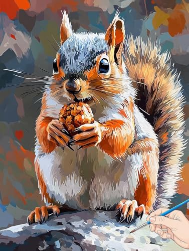 Malen Nach Zahlen Erwachsene Tiere Malen Nach Zahlen Kinder ab 10 Eichhörnchen Set Basteln Erwachsene DIY Paint by Numbers Adult Acrylfarbe Ölgemälde Bastelset Geschenke Deko Wohnzimmer 30x40cm H-79 von Jaeixouu