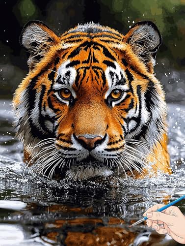Malen Nach Zahlen Erwachsene Tiger Malen Nach Zahlen Tiere DIY Set Ewachsene Paint by Numbers Adult mit Pinseln und Acrylfarbe Handgemalt Ölgemälde Kit Geschenke für Frauen Halloween Deko 70x90cm H-90 Malen Nach Zahlen Erwachsene Tiger Malen Nach Zahlen Tiere DIY Set Ewachsene Paint by Numbers Adult mit Pinseln und Acrylfarbe Handgemalt Ölgemälde Kit Geschenke für Frauen Halloween Deko 70x90cm H-90 von Jaeixouu
