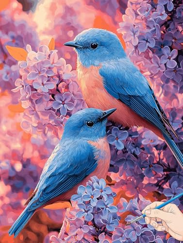 Malen Nach Zahlen Erwachsene Vogel Malen Nach Zahlen Kinder ab 10 Blumen Set Basteln Erwachsene DIY Paint by Numbers Adult Acrylfarbe Ölgemälde Bastelset für Geschenke Deko Wohnzimmer 30x40cm I-60 Malen Nach Zahlen Erwachsene Vogel Malen Nach Zahlen Kinder ab 10 Blumen Set Basteln Erwachsene DIY Paint by Numbers Adult Acrylfarbe Ölgemälde Bastelset für Geschenke Deko Wohnzimmer 30x40cm I-60 von Jaeixouu