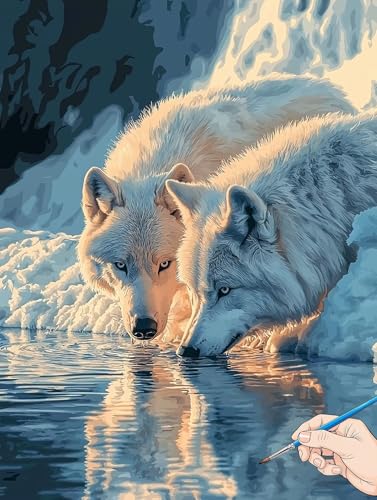 Malen Nach Zahlen Erwachsene Wolf Malen Nach Zahlen Kinder ab 10 Tiere Set Basteln Erwachsene Paint by Numbers Adult Acrylfarbe Ölgemälde Bastelset Herbstdeko Geschenke Deko Wohnzimmer 40x50cm C-26 Malen Nach Zahlen Erwachsene Wolf Malen Nach Zahlen Kinder ab 10 Tiere Set Basteln Erwachsene Paint by Numbers Adult Acrylfarbe Ölgemälde Bastelset Herbstdeko Geschenke Deko Wohnzimmer 40x50cm C-26 von Jaeixouu