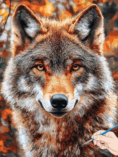 Malen Nach Zahlen Erwachsene Wolf Malen Nach Zahlen Kinder ab 10 Tiere Set Basteln Erwachsene Paint by Numbers Adult Acrylfarbe Ölgemälde Bastelset Herbstdeko Geschenke Deko Wohnzimmer 60x80cm H-55 von Jaeixouu