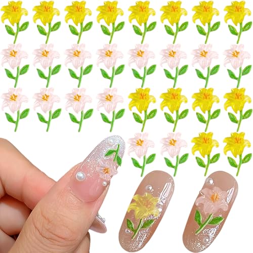 100 Stück Eiskristall Blumen Nagel Charms 3D Ice Flower Nail Charms Nagel Deko Blumen Nageldesign Zubehör Lilien Blume Nagelanhänger Flowers Nail Art Charm Set Maniküre Strasssteine Harz Nagelblumen 100 Stück Eiskristall Blumen Nagel Charms 3D Ice Flower Nail Charms Nagel Deko Blumen Nageldesign Zubehör Lilien Blume Nagelanhänger Flowers Nail Art Charm Set Maniküre Strasssteine Harz Nagelblumen von Jaliya