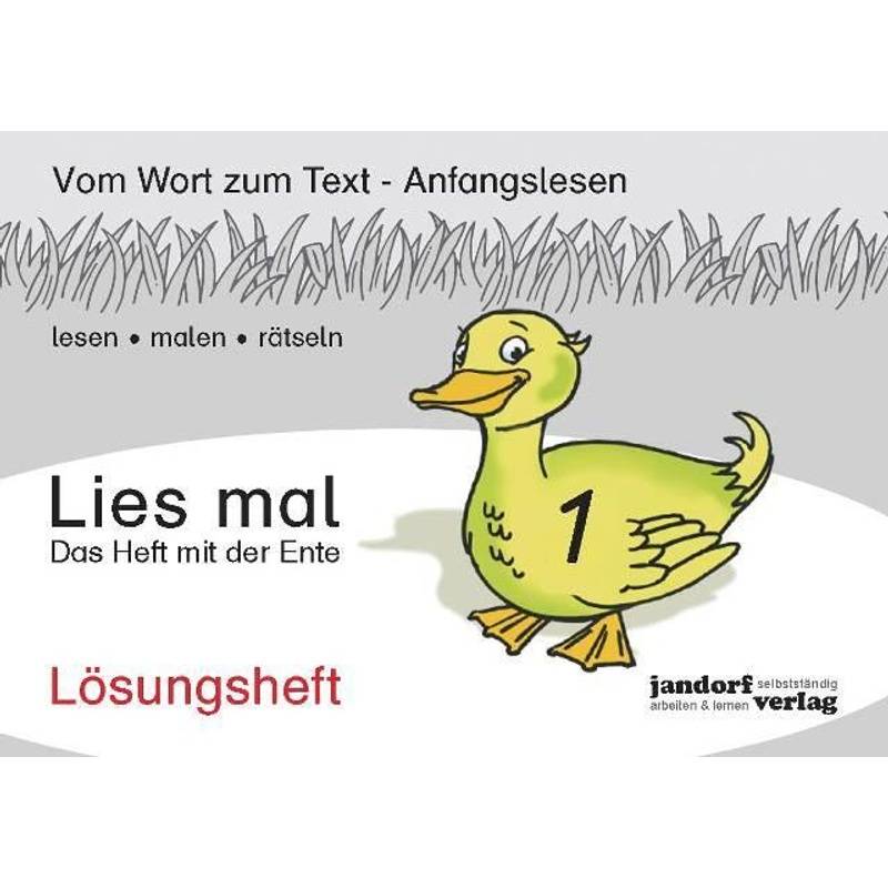 Lies Mal!: H.1 Das Heft Mit Der Ente, Lösungsheft - Peter Wachendorf, Jan Debbrecht, Geheftet von Jandorf Verlag
