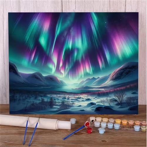Januave Malen Nach Zahlen Erwachsene,Aurora Schneeberg Paint by Numbers Malen Nach Zahlen,DIY 3 -Pinseln und Acrylfarben Leinwand Handgemalt Ölgemälde für Home Décor(mit rahmen) 30x40cm von Januave