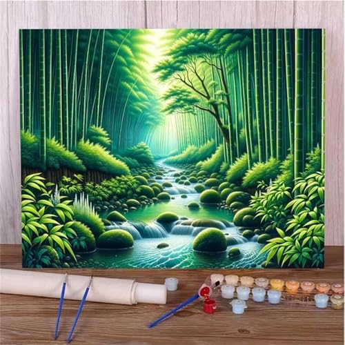 Januave Malen Nach Zahlen Erwachsene,Bambus Waldgrün Paint by Numbers Malen Nach Zahlen,DIY 3 -Pinseln und Acrylfarben Leinwand Handgemalt Ölgemälde für Home Décor(mit rahmen) 30x40cm von Januave