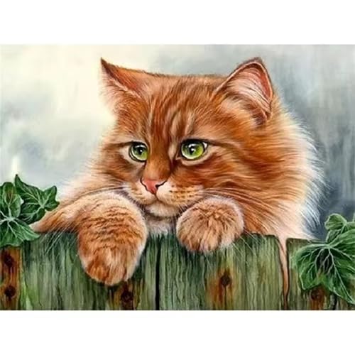 Januave Malen Nach Zahlen Erwachsene,Orange Katze Paint by Numbers Malen nach Zahlen,mit rahmen DIY Pinseln und Acrylfarben Handgemalt Ölgemälde Leinwand Bastelset Kit für Home Wand Dekor 40x50cm Januave Malen Nach Zahlen Erwachsene,Orange Katze Paint by Numbers Malen nach Zahlen,mit rahmen DIY Pinseln und Acrylfarben Handgemalt Ölgemälde Leinwand Bastelset Kit für Home Wand Dekor 40x50cm von Januave