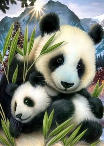 Januave Malen Nach Zahlen Erwachsene,Panda-Familie DIY Handgemalt Ölgemälde Leinwand Kit für Anfänger,Paint by Numbers mit Pinseln und Acrylfarbe für Geschenke und Wand Dekor 30x40cm(Ohne Rahmen) Januave Malen Nach Zahlen Erwachsene,Panda-Familie DIY Handgemalt Ölgemälde Leinwand Kit für Anfänger,Paint by Numbers mit Pinseln und Acrylfarbe für Geschenke und Wand Dekor 30x40cm(Ohne Rahmen) von Januave