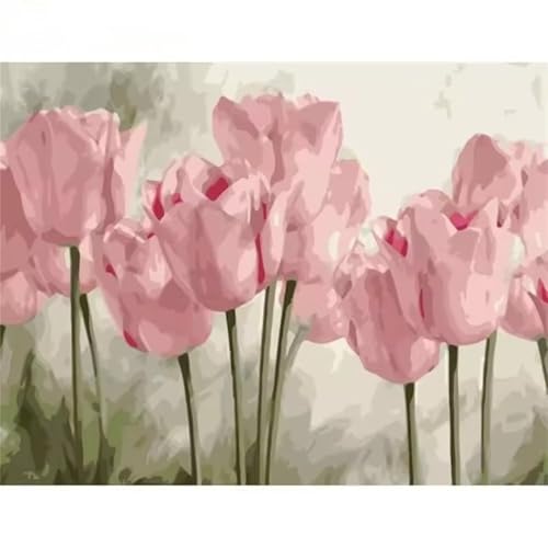 Januave Malen Nach Zahlen Erwachsene,Tulpe rosa Blume DIY Handgemalt Ölgemälde Leinwand Kit für Anfänger,Paint by Numbers mit Pinseln und Acrylfarbe für Geschenke und Wand Dekor 45x60cm(mit rahmen) Januave Malen Nach Zahlen Erwachsene,Tulpe rosa Blume DIY Handgemalt Ölgemälde Leinwand Kit für Anfänger,Paint by Numbers mit Pinseln und Acrylfarbe für Geschenke und Wand Dekor 45x60cm(mit rahmen) von Januave