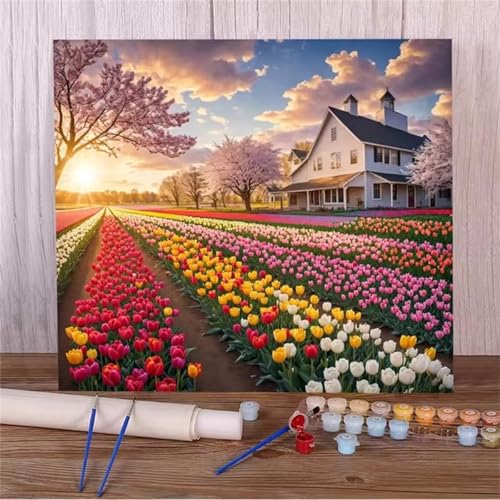Januave Malen Nach Zahlen Erwachsene,Tulpenfelder DIY Handgemalt Ölgemälde Leinwand Kit für Anfänger,Paint by Numbers mit Pinseln und Acrylfarbe für Geschenke und Wand Dekor 55x70cm(mit rahmen) von Januave