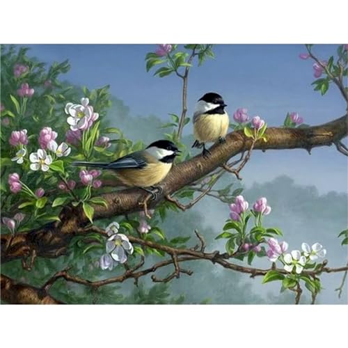 Januave Vogel Blume Malen Nach Zahlen Erwachsene,DIY Malen nach Zahlen Kits auf Leinwand Acrylmalerei nach Zahlen mit Pinseln Leinwand Geschenke Kunsthandwerk Frameless,40x50cm von Januave