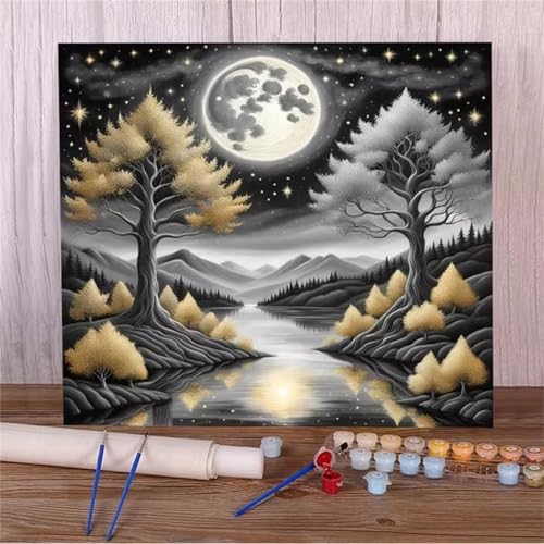 Malen Nach Zahlen Erwachsene,Nachtlandschaft Mond DIY Handgemalt Ölgemälde Leinwand Kit für Anfänger,Paint by Numbers mit Pinseln und Acrylfarbe für Geschenke und Wand Dekor 30x40cm(mit rahmen) von Januave