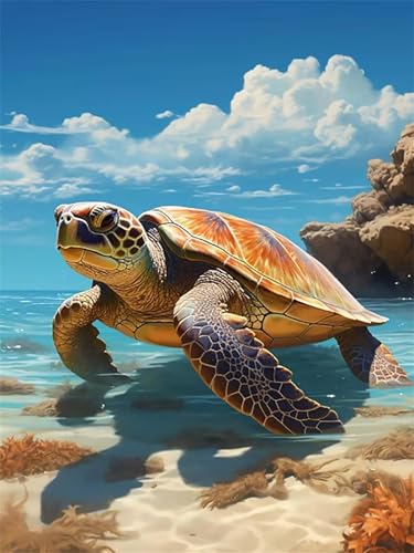 Malen Nach Zahlen Erwachsene,Schildkrötenstrand Paint by Numbers Malen nach Zahlen,mit rahmen DIY Pinseln und Acrylfarben Handgemalt Ölgemälde Leinwand Bastelset Kit für Home Wand Dekor 40x50cm Malen Nach Zahlen Erwachsene,Schildkrötenstrand Paint by Numbers Malen nach Zahlen,mit rahmen DIY Pinseln und Acrylfarben Handgemalt Ölgemälde Leinwand Bastelset Kit für Home Wand Dekor 40x50cm von Januave
