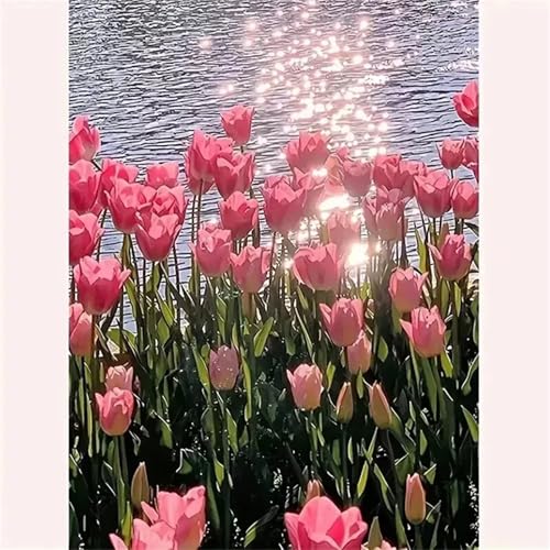 Malen Nach Zahlen Erwachsene,Tulpen Pink Lake Paint by Numbers Malen nach Zahlen,Ohne Rahmen DIY Pinseln und Acrylfarben Handgemalt Ölgemälde Leinwand Bastelset Kit für Home Wand Dekor 30x40cm Malen Nach Zahlen Erwachsene,Tulpen Pink Lake Paint by Numbers Malen nach Zahlen,Ohne Rahmen DIY Pinseln und Acrylfarben Handgemalt Ölgemälde Leinwand Bastelset Kit für Home Wand Dekor 30x40cm von Januave