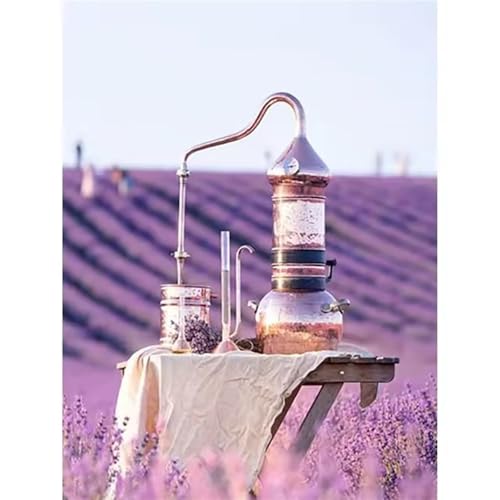 Paint by Number for Adults,Hourglass Purple Acrylic Oil Painting by Numbers Kits for Beginner,with Brushes with frame DIY Canvas Art Painting for Home Wall Decor Gift 30x40cm Paint by Number for Adults,Hourglass Purple Acrylic Oil Painting by Numbers Kits for Beginner,with Brushes with frame DIY Canvas Art Painting for Home Wall Decor Gift 30x40cm von Januave