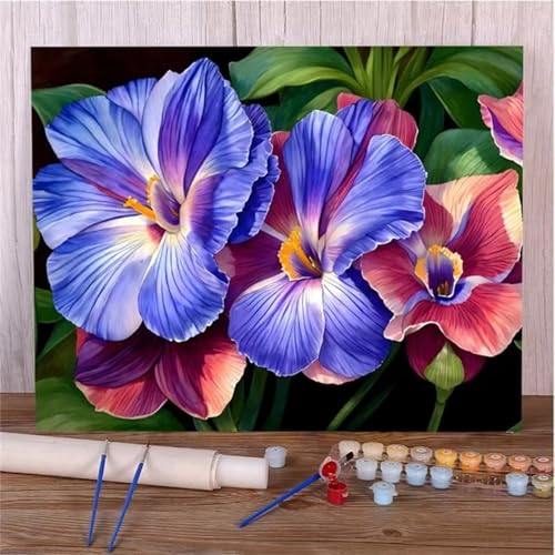 Paint by Number for Adults,Iris Purple Acrylic Oil Painting by Numbers Kits for Beginner,with Brushes with frame DIY Canvas Art Painting for Home Wall Decor Gift 40x50cm Paint by Number for Adults,Iris Purple Acrylic Oil Painting by Numbers Kits for Beginner,with Brushes with frame DIY Canvas Art Painting for Home Wall Decor Gift 40x50cm von Januave