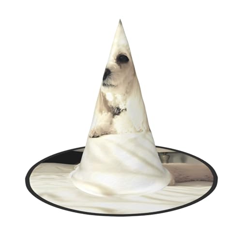JaoXer Französischer Pudel Halloween Hut - Erwachsenenkostüm-Zubehör für Party & Maskerade, perfekt für Halloween, Karneval, Cosplay JaoXer Französischer Pudel Halloween Hut - Erwachsenenkostüm-Zubehör für Party & Maskerade, perfekt für Halloween, Karneval, Cosplay von JaoXer
