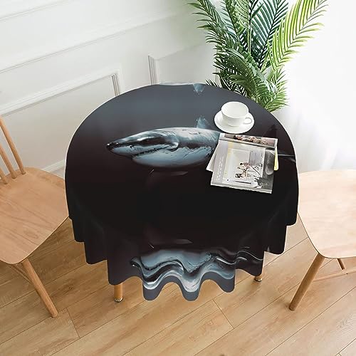 JaoXer Great White Shark Round Tablecloth - Dining Table Cover for Dining Room, Office Meetings and Holidays - 152.4 cm Coffee Table Cloth JaoXer Great White Shark Round Tablecloth - Dining Table Cover for Dining Room, Office Meetings and Holidays - 152.4 cm Coffee Table Cloth von JaoXer