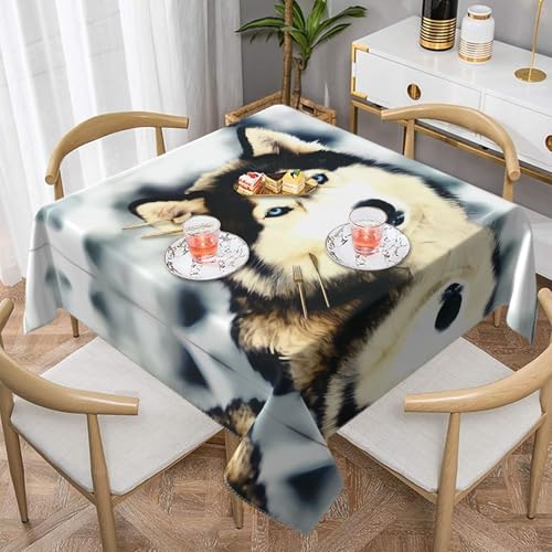 JaoXer Quadratische Tischdecke mit sibirischem Husky-Druck, perfekt für drinnen und draußen, Esstisch, Couchtisch und Bürokonferenzen JaoXer Quadratische Tischdecke mit sibirischem Husky-Druck, perfekt für drinnen und draußen, Esstisch, Couchtisch und Bürokonferenzen von JaoXer