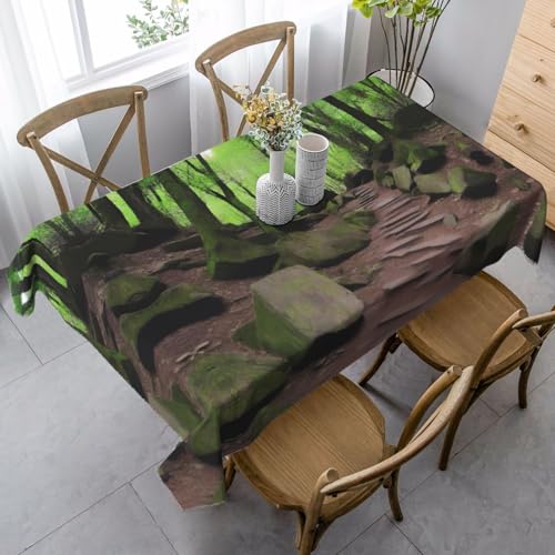 JaoXer Rechteckige Tischdecke mit Wanderweg-Druck, waschbar, klassische Küchendekoration für Esstisch, Tischplatte, Party-Tischdecken JaoXer Rechteckige Tischdecke mit Wanderweg-Druck, waschbar, klassische Küchendekoration für Esstisch, Tischplatte, Party-Tischdecken von JaoXer