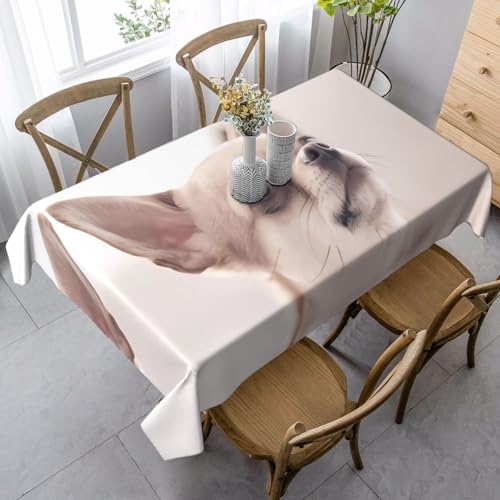 JaoXer Rechteckige Tischdecke mit niedlichem Chihuahua-Druck, waschbar, klassische Küchendekoration für Esstisch, Tischplatte, Party-Tischdecken JaoXer Rechteckige Tischdecke mit niedlichem Chihuahua-Druck, waschbar, klassische Küchendekoration für Esstisch, Tischplatte, Party-Tischdecken von JaoXer