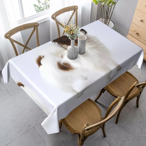 JaoXer Rechteckige Tischdecke mit weißem Papillon-Druck, waschbar, klassische Küchendekoration für Esstisch, Tischplatte, Party-Tischdecken JaoXer Rechteckige Tischdecke mit weißem Papillon-Druck, waschbar, klassische Küchendekoration für Esstisch, Tischplatte, Party-Tischdecken von JaoXer