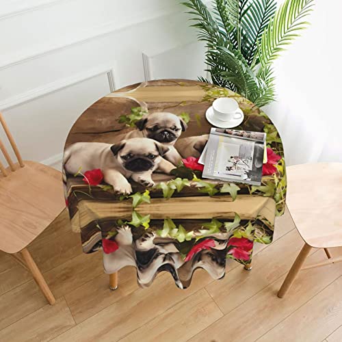 JaoXer Runde Tischdecke mit Mops-Motiv, Esstischabdeckung für Esszimmer, Bürotreffen und Feiertage, 152,4 cm Couchtischdecke JaoXer Runde Tischdecke mit Mops-Motiv, Esstischabdeckung für Esszimmer, Bürotreffen und Feiertage, 152,4 cm Couchtischdecke von JaoXer