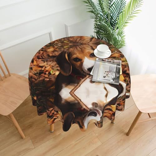 JaoXer Runde Tischdecke mit niedlichem Hund, Esstischabdeckung für Esszimmer, Bürotreffen und Feiertage, 152,4 cm Couchtischdecke JaoXer Runde Tischdecke mit niedlichem Hund, Esstischabdeckung für Esszimmer, Bürotreffen und Feiertage, 152,4 cm Couchtischdecke von JaoXer